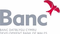 Development Bank of Wales Logo